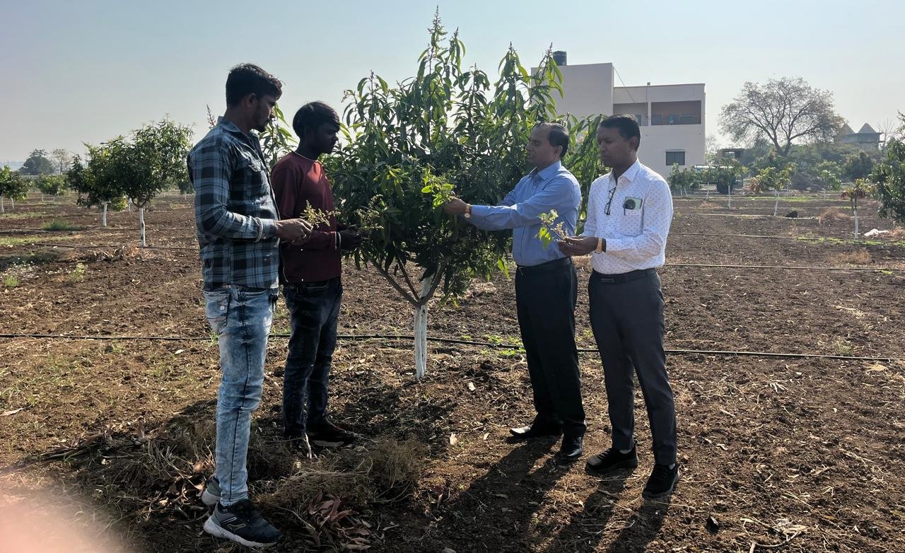 ०४-०२-२०२५ रोजी सिल्लोड येथील केसर आंबा प्रक्षेत्र भेट व मार्गदर्शनाबाबत